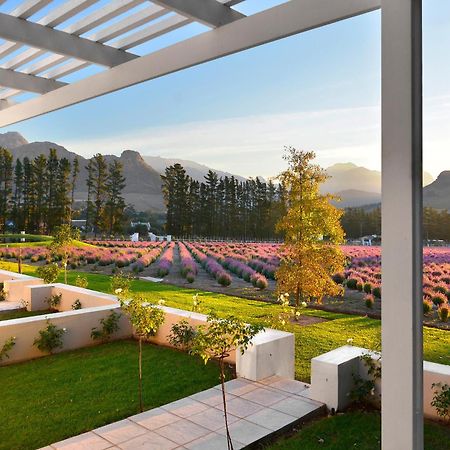 Lavender Farm Boutique Guest House 프란쉬후크 외부 사진