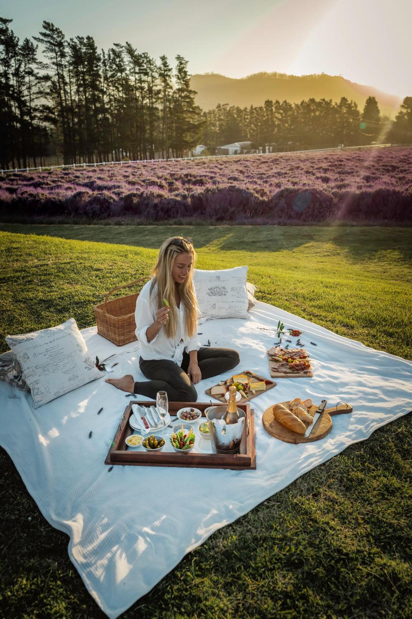 Lavender Farm Boutique Guest House 프란쉬후크 외부 사진