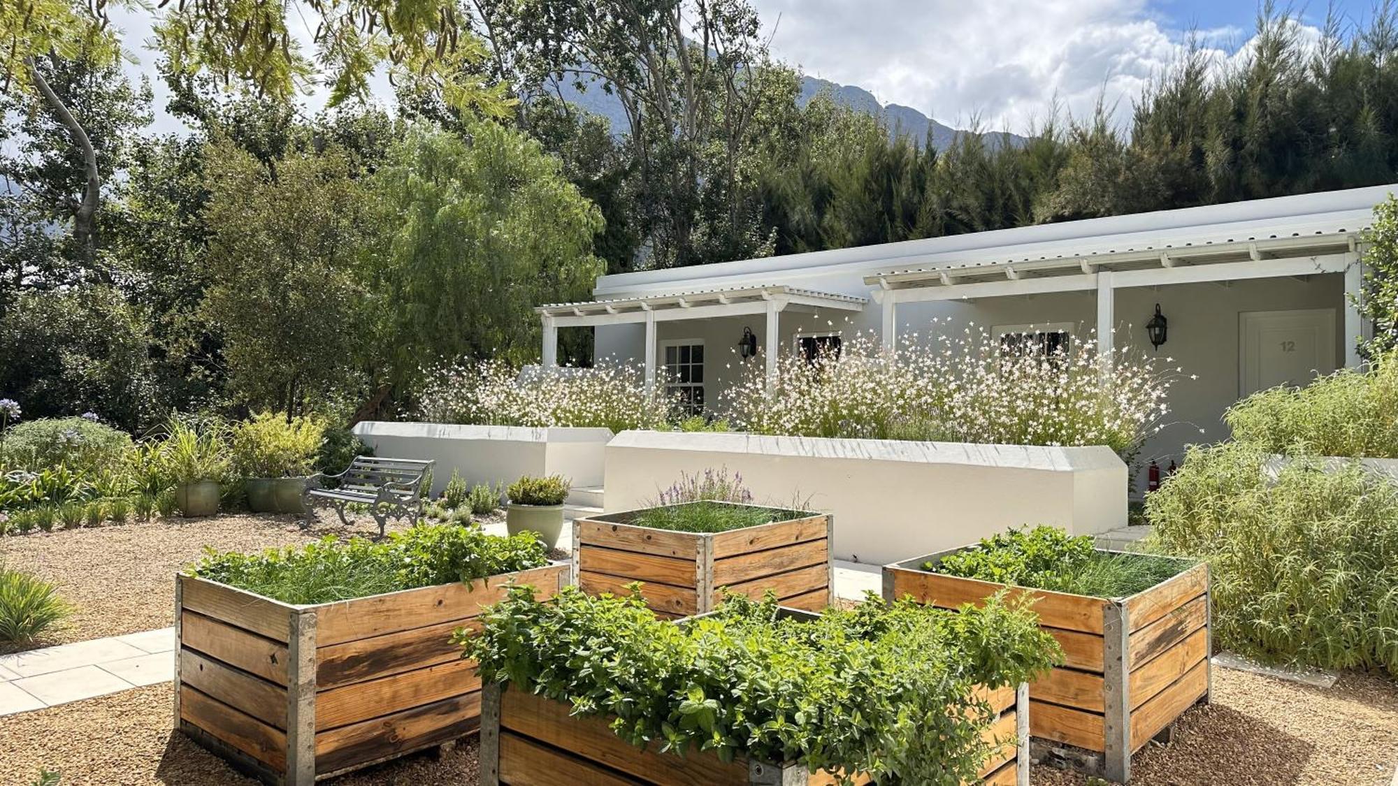 Lavender Farm Boutique Guest House 프란쉬후크 외부 사진